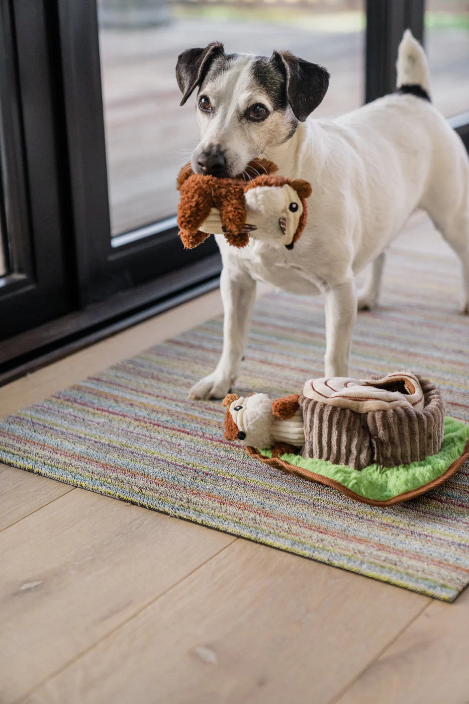 P.L.A.Y Forest Friends Chippy and Cheeks the Chipmunks-Liberty Pet Products-Shine Pets