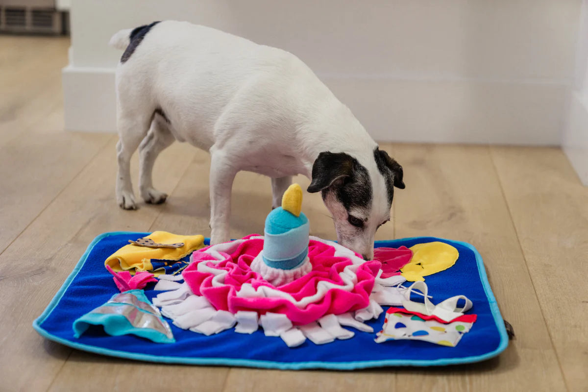P.L.A.Y Woof-Day Celebration Snuffle Mat