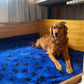 Drybed Mat/Vet Bed-Accessories-Furtex-Small (500x375mm)-NON SLIP Grey-Shine Pets