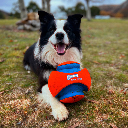 Kick Fetch Ball-Brooklands-Shine Pets