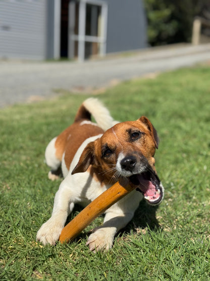 BONNO - The Mānuka Chew for Dogs