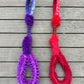 Bungee tug toy - all in one