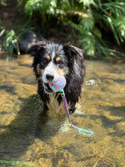 BioThane Waterproof Ball Tug Toys for dogs