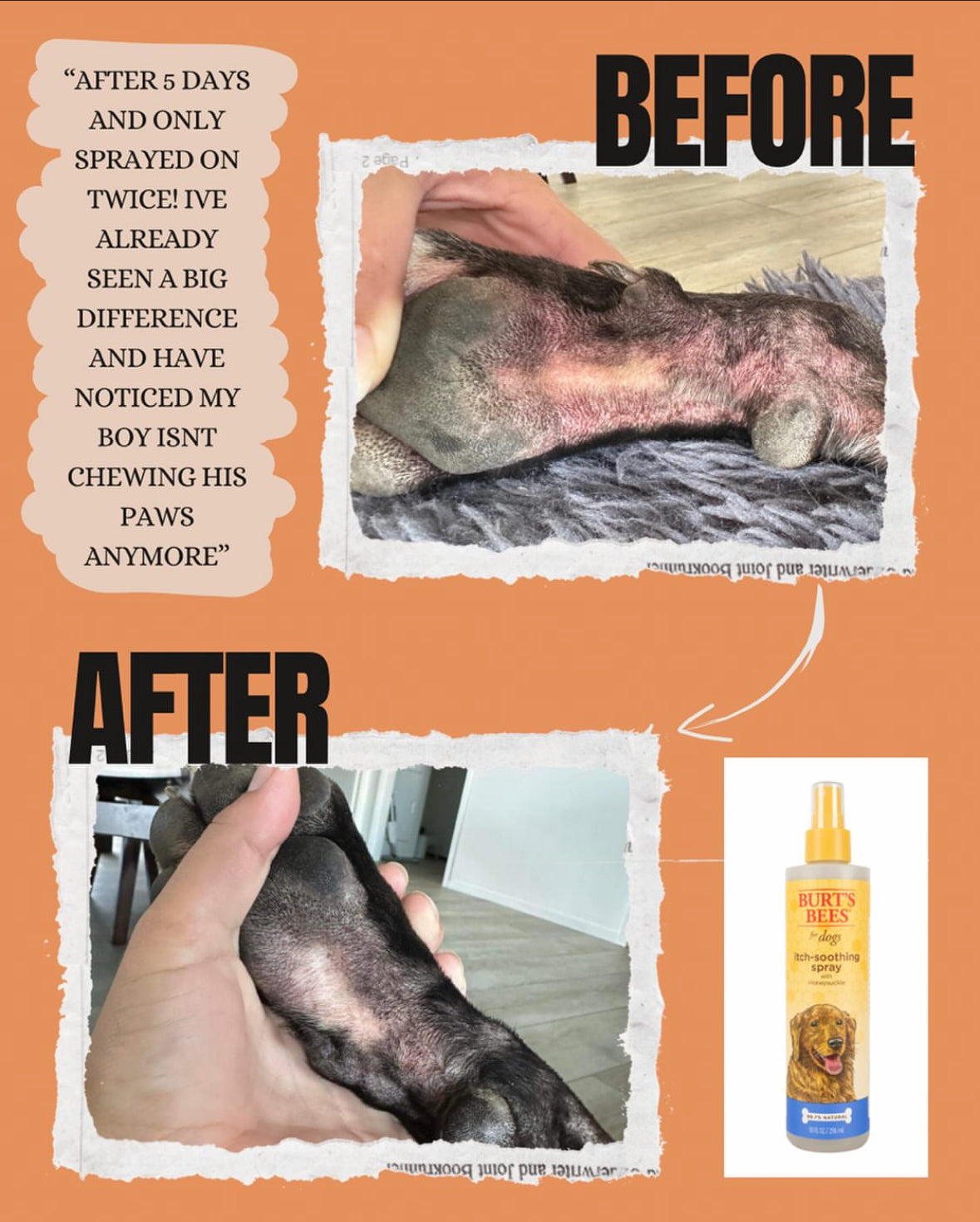 Burts Bees Itch Soothing Spray Shine Pets