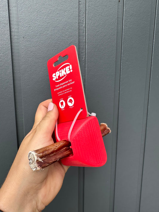 Spike! Treat Square Toy