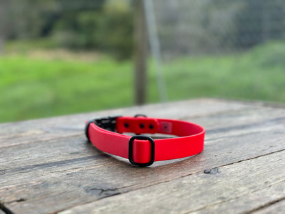 BioThane Quick Release Custom Dog Collar - Adjustable