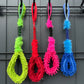 Bungee tug toy - all in one
