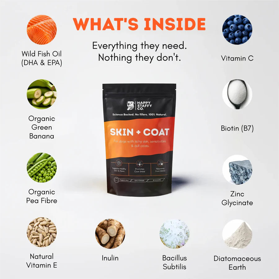 Skin & Coat Dog Supplement | Happy Staffy Co