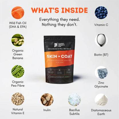 Skin & Coat Dog Supplement | Happy Staffy Co