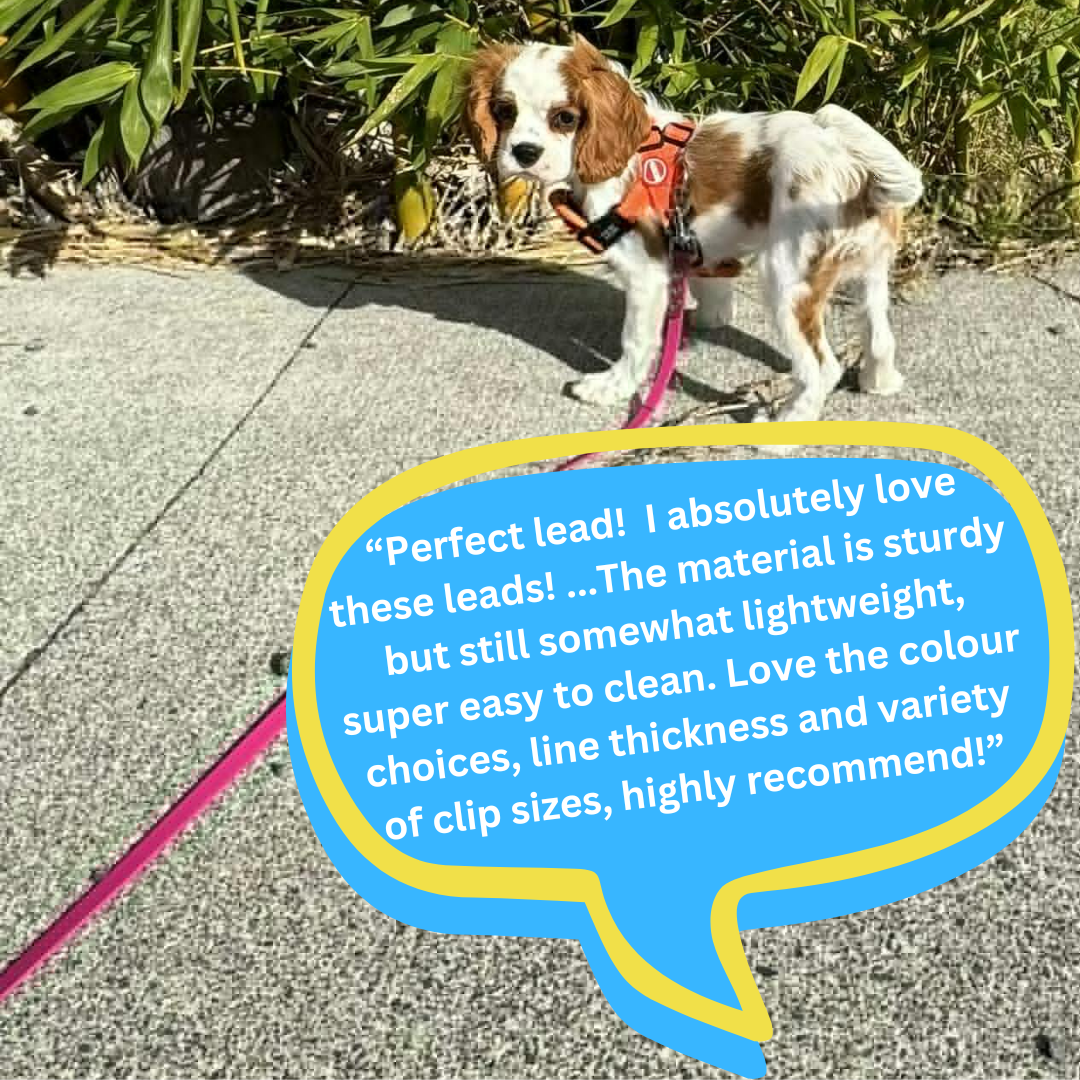 BioThane Dog Longline/Lead-Accessories-Shine Canine-3m-13mm-Shine Pets