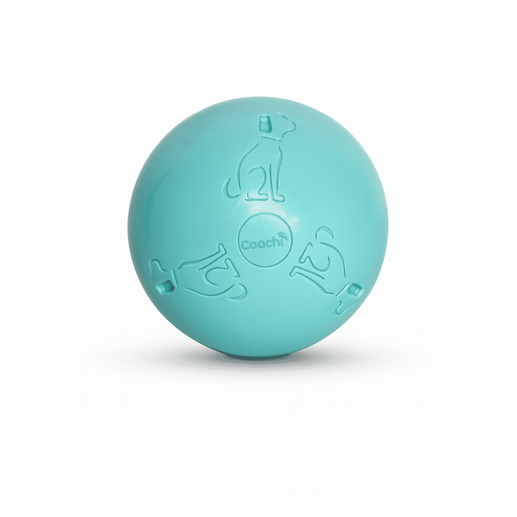 Coachi Boomi Ball (was the Boomer Ball)