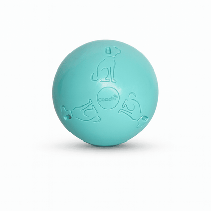 Coachi Boomi Ball (was the Boomer Ball)