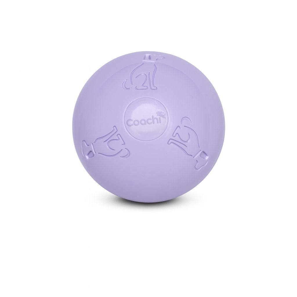 Coachi Boomi Ball (was the Boomer Ball)