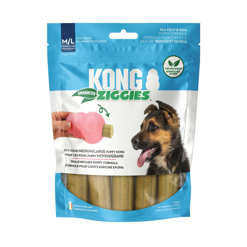 KONG Ziggies Enhanced Dental Dog Treats (fits the Kong!)