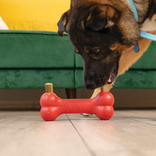 KONG Ziggies Enhanced Dental Dog Treats (fits the Kong!)