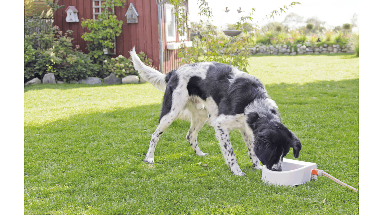 Automatic Outdoor Water Trough 1.5L Shine Pets
