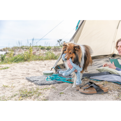 TRIXIE Dinosaur Plush – Standing (38cm)