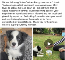 Life Skills – Online Dog Training Course