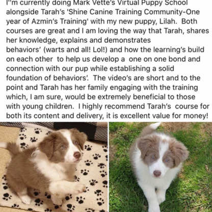 Life Skills – Online Dog Training Course