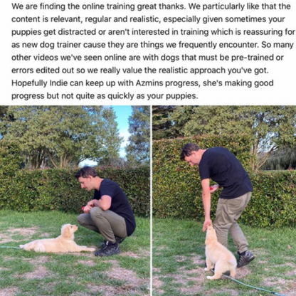 Life Skills – Online Dog Training Course