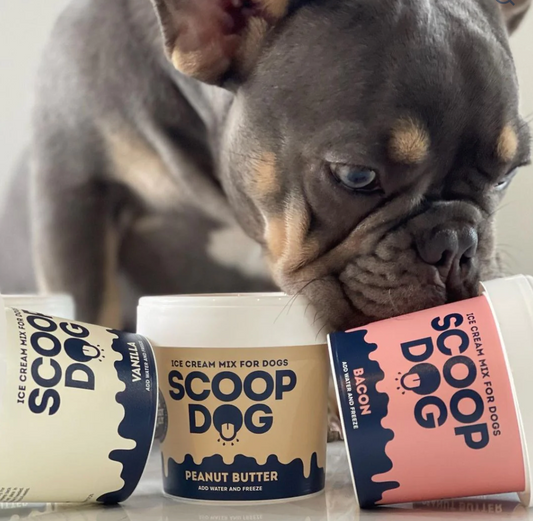 Scoop Dog Ice Cream