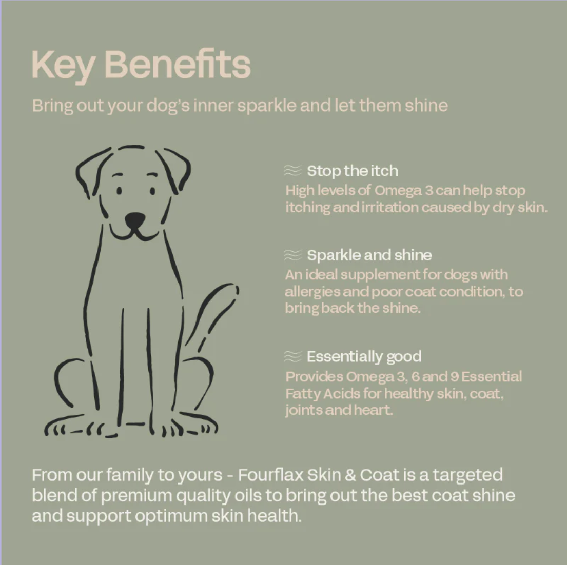 Best supplement for dog dry skin online