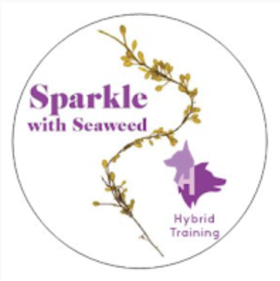 Sparkle With Seaweed-Hybrid Dog Training-200g-Shine Pets