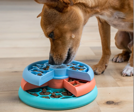 Lickin' Layers - Outward Hound-Naturally Pet-Puppy-Shine Pets