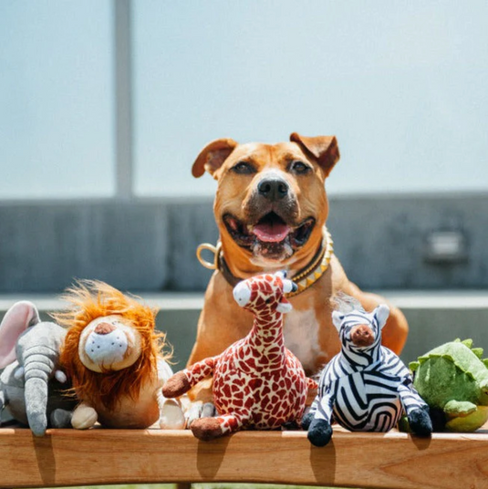 P.L.A.Y Safari Toys-Liberty Pet Products-Lion-Shine Pets