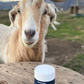 Goat Milk Powder - Scoop Dog