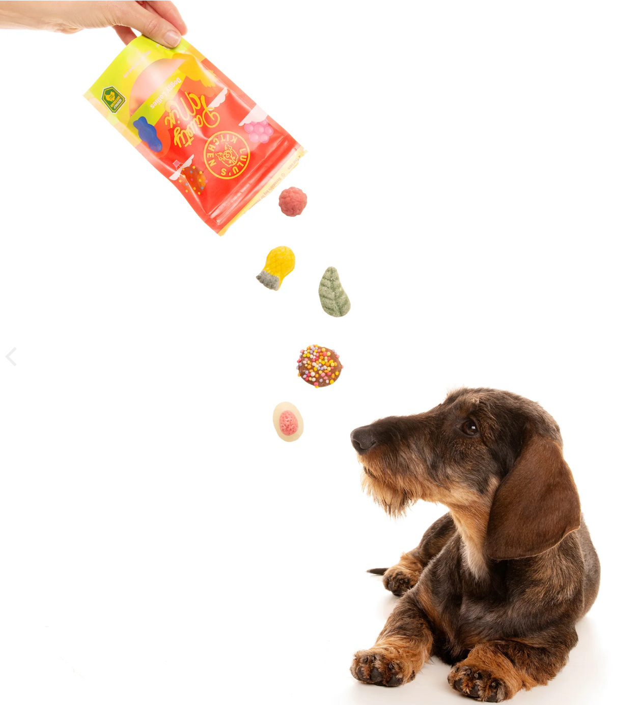 Pawty Mix - Lollies for Dogs! 🍬