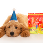 Pawty Mix - Lollies for Dogs! 🍬-Rover Pet Products-Shine Pets