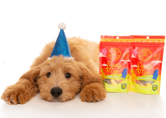 Pawty Mix - Lollies for Dogs! 🍬-Rover Pet Products-Shine Pets