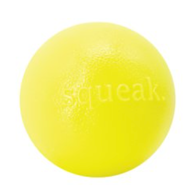 Orbee Tuff Squeak Ball - Planet Dog