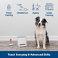 PetSafe Teach & Treat Remote Reward Trainer