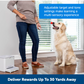 PetSafe Teach & Treat Remote Reward Trainer