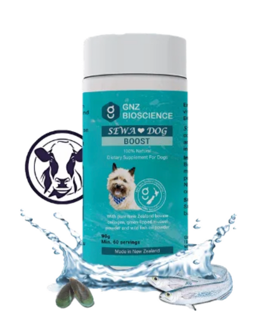 SEVA Dog Boost-GNZ Bioscience-90g-Shine Pets