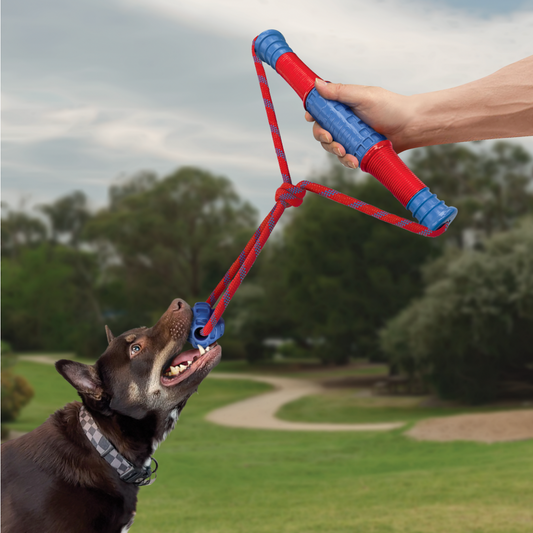 Kong Jaxx Mega Tug Blue-Petware-Shine Pets