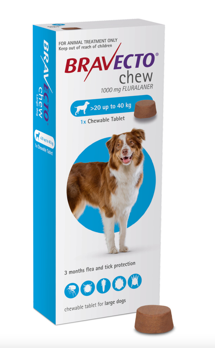 Bravecto Chewable Flea Tick Shine Pets