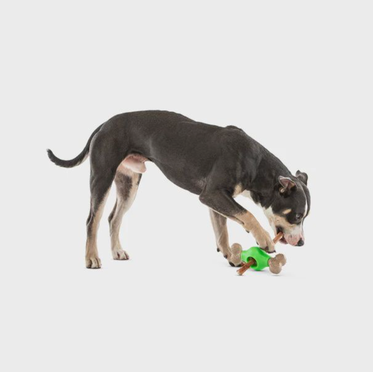 Guru Adjust-A-Chew