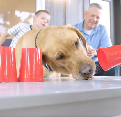 Dog's Best Friend Game
