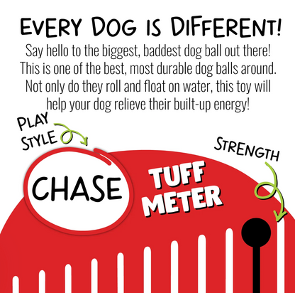 Jolly Ball Push N Play