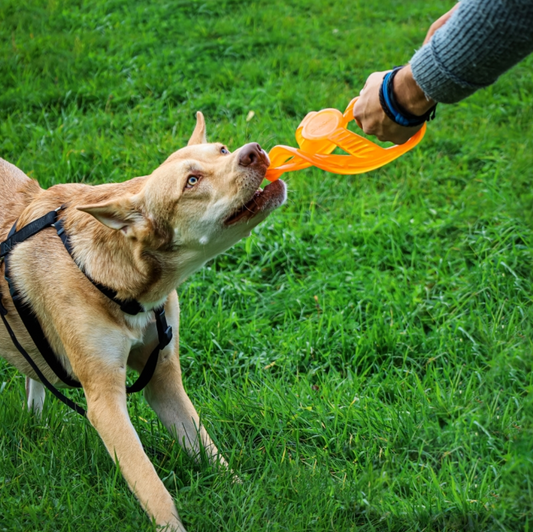 BIONIC Toss n Tug Ring 22.7cm