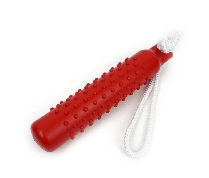 Spike! Rope Buoy Toy