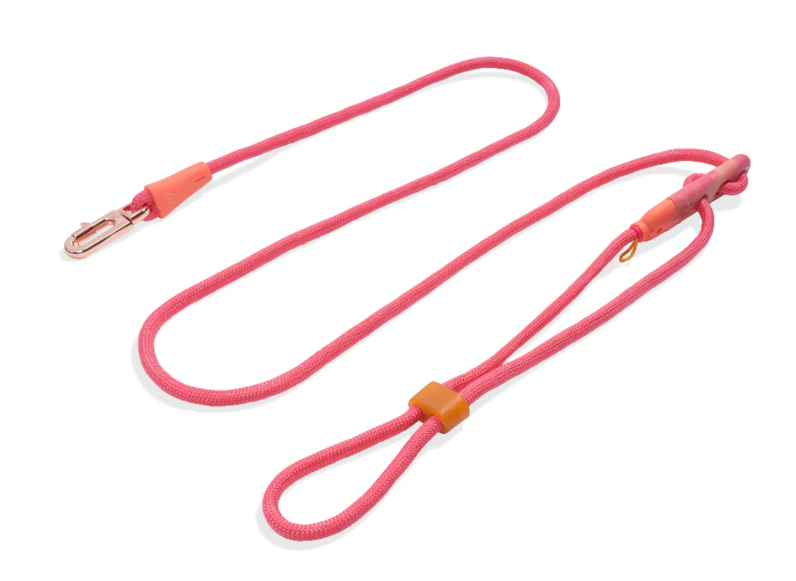 Zee.Dog Hands-Free Leash