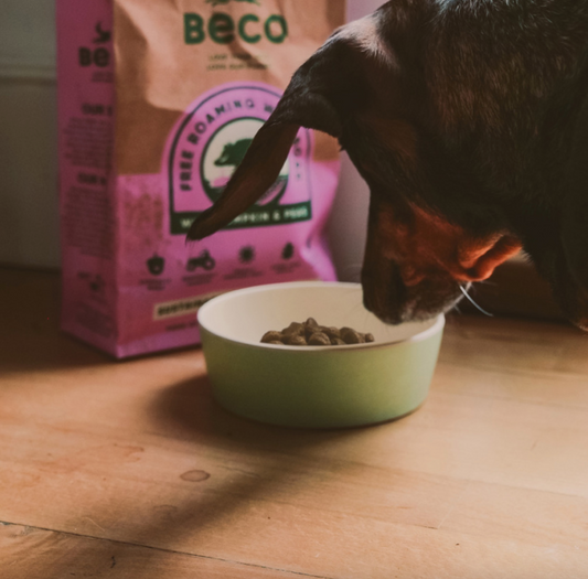 Beco Bowl (bamboo)