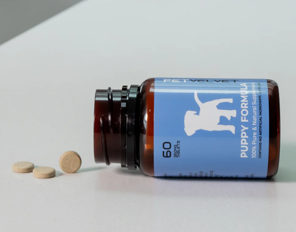PetVel Puppy Health & Wellbeing Formula