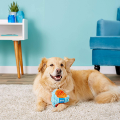 Chuckit! Indoor Tumbler