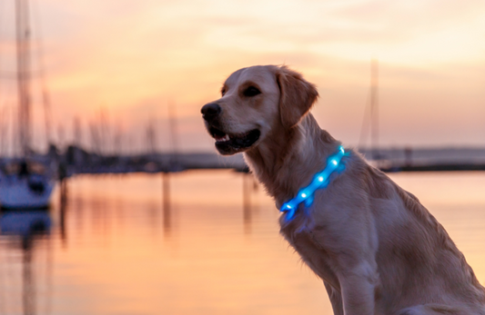 LED Light Band 65cm - Multicolour XS-XL