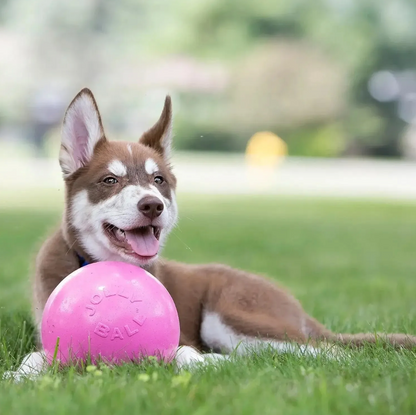 JOLLY Bounce 'n' Play